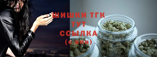 МДПВ Дмитров