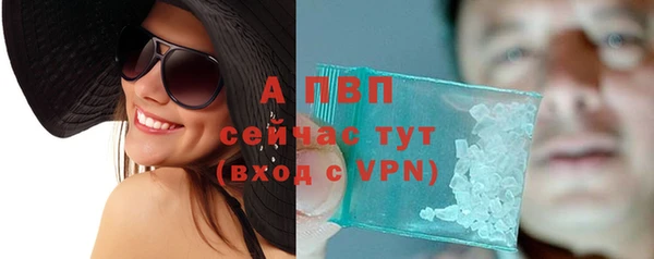 крисы Дмитриев