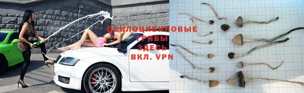 mdpv Горняк