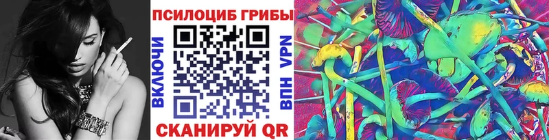 OMG ONION  Таганрог  Галлюциногенные грибы Cubensis 